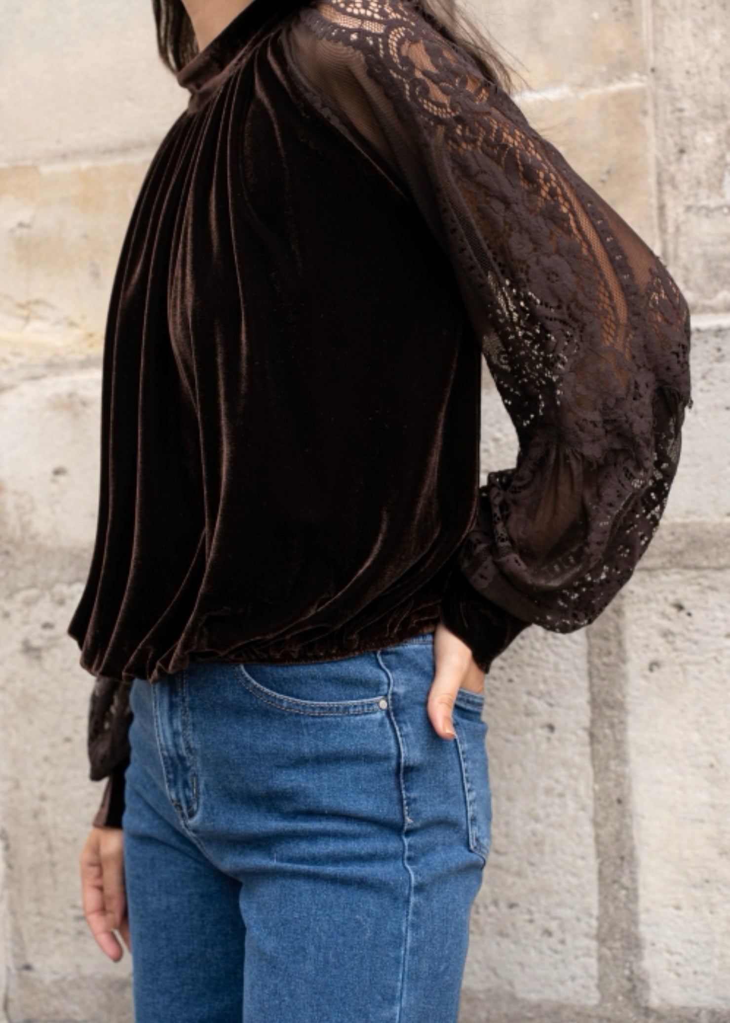 FROCKS Velvet Sheer Sleeve Dress Top Choc