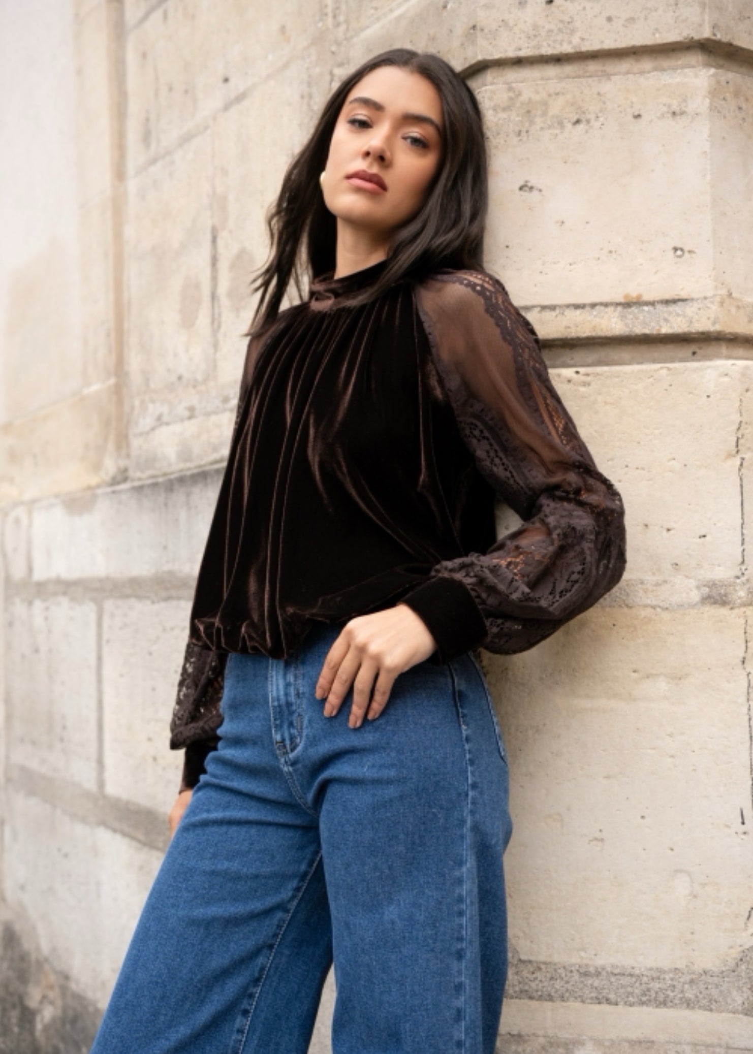 FROCKS Velvet Sheer Sleeve Dress Top Choc